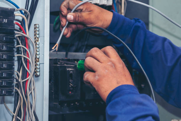 Best Local Electrician Companies  in Shannondale, WV